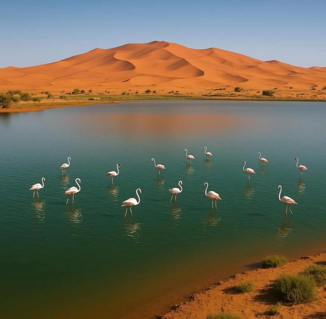 Salambo Tente Merzouga Exterior foto
